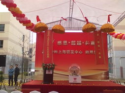 鑫旺庆典金球开合遥控金球剪彩金球出售